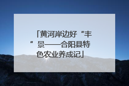 黄河岸边好“丰”景——合阳县特色农业养成记