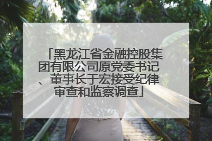 黑龙江省金融控股集团有限公司原党委书记、董事长于宏接受纪律审查和监察调查