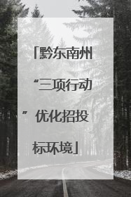 黔东南州“三项行动”优化招投标环境