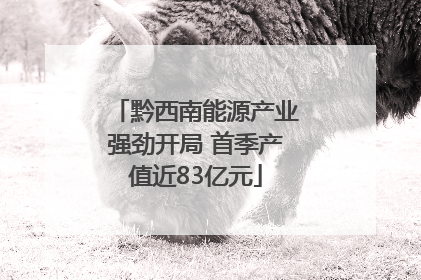 黔西南能源产业强劲开局 首季产值近83亿元