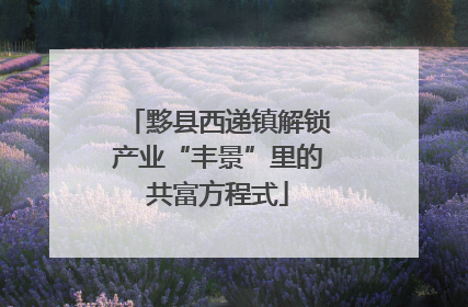 黟县西递镇解锁产业“丰景”里的共富方程式