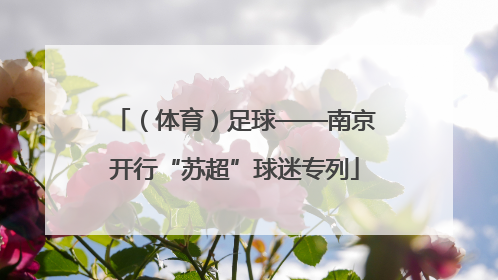 （体育）足球——南京开行“苏超”球迷专列