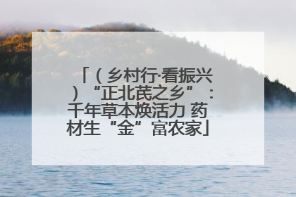 （乡村行·看振兴）“正北芪之乡”：千年草本焕活力 药材生“金”富农家
