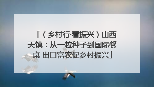 （乡村行·看振兴）山西天镇：从一粒种子到国际餐桌 出口富农促乡村振兴