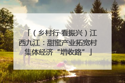 （乡村行·看振兴）江西九江：甜蜜产业拓宽村集体经济“增收路”