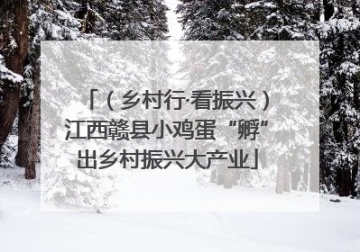 （乡村行·看振兴）江西赣县小鸡蛋“孵”出乡村振兴大产业