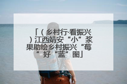（乡村行·看振兴）江西靖安“小”浆果助绘乡村振兴“莓”好“蓝”图