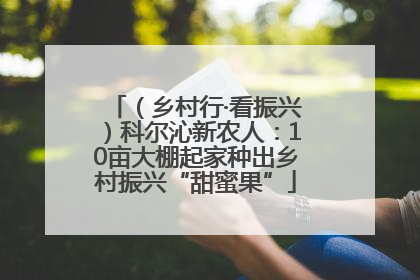 （乡村行·看振兴）科尔沁新农人：10亩大棚起家种出乡村振兴“甜蜜果”
