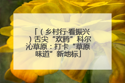 （乡村行·看振兴）舌尖“欢腾”科尔沁草原：打卡“草原味道”新地标