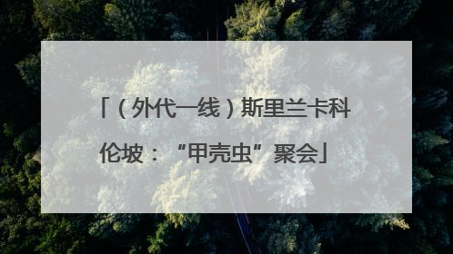（外代一线）斯里兰卡科伦坡：“甲壳虫”聚会