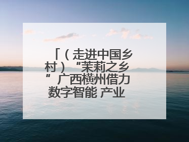 （走进中国乡村）“茉莉之乡”广西横州借力数字智能 产业升级香飘海外
