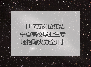 1.7万岗位集结 宁夏高校毕业生专场招聘火力全开