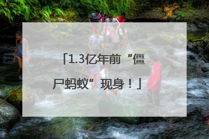 1.3亿年前“僵尸蚂蚁”现身！