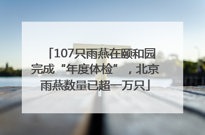 107只雨燕在颐和园完成“年度体检”，北京雨燕数量已超一万只