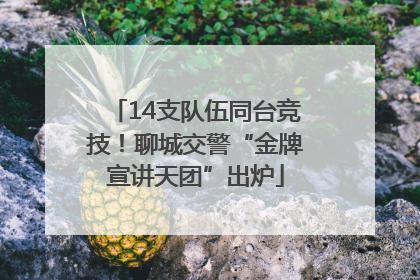 14支队伍同台竞技！聊城交警“金牌宣讲天团”出炉