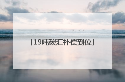 19吨碳汇补偿到位
