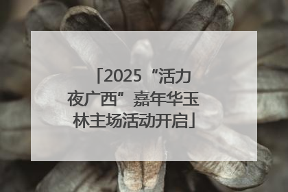 2025“活力夜广西”嘉年华玉林主场活动开启