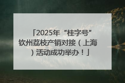 2025年“桂字号”钦州荔枝产销对接（上海）活动成功举办！