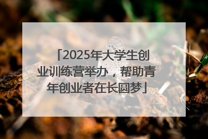 2025年大学生创业训练营举办，帮助青年创业者在长圆梦