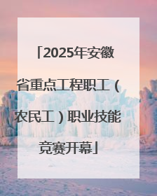 2025年安徽省重点工程职工（农民工）职业技能竞赛开幕