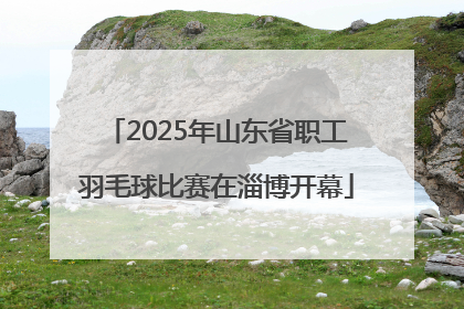 2025年山东省职工羽毛球比赛在淄博开幕