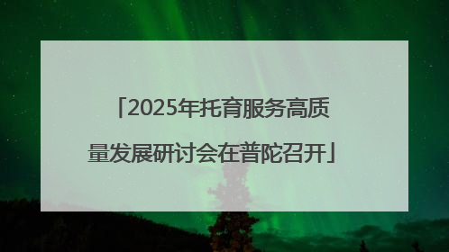 2025年托育服务高质量发展研讨会在普陀召开