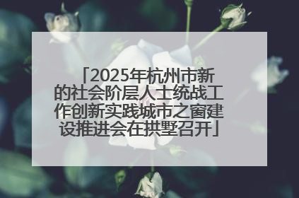 2025年杭州市新的社会阶层人士统战工作创新实践城市之窗建设推进会在拱墅召开