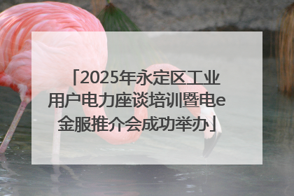 2025年永定区工业用户电力座谈培训暨电e金服推介会成功举办