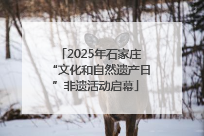 2025年石家庄“文化和自然遗产日”非遗活动启幕