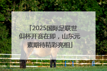 2025国际足联世俱杯开赛在即，山东元素期待精彩亮相
