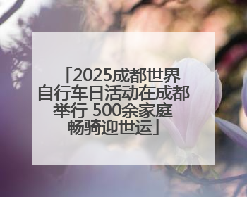 2025成都世界自行车日活动在成都举行 500余家庭畅骑迎世运