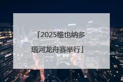 2025维也纳多瑙河龙舟赛举行