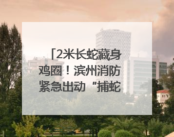 2米长蛇藏身鸡圈！滨州消防紧急出动“捕蛇放生”