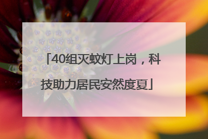 40组灭蚊灯上岗，科技助力居民安然度夏