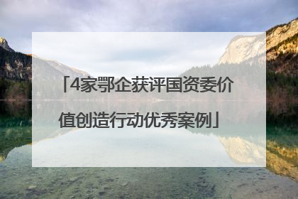 4家鄂企获评国资委价值创造行动优秀案例