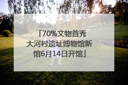 70%文物首秀 大河村遗址博物馆新馆6月14日开馆
