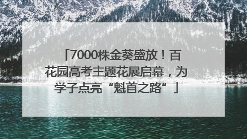 7000株金葵盛放！百花园高考主题花展启幕，为学子点亮“魁首之路”