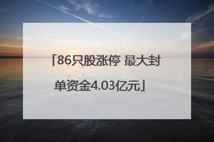 86只股涨停 最大封单资金4.03亿元
