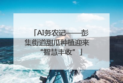 AI务农记——彭集街道甜瓜种植迎来“智慧丰收”