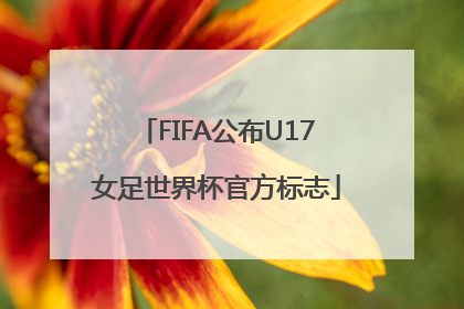 FIFA公布U17女足世界杯官方标志