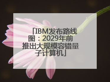 IBM发布路线图：2029年前推出大规模容错量子计算机