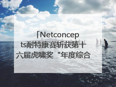Netconcepts耐特康赛斩获第十六届虎啸奖“年度综合服务商”大奖