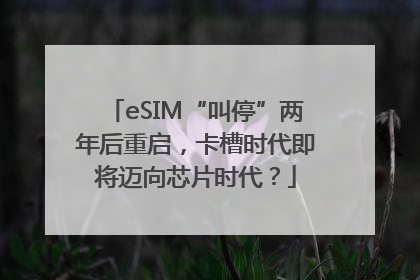 eSIM“叫停”两年后重启，卡槽时代即将迈向芯片时代？